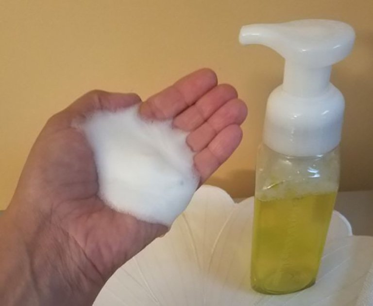 Gentle Foaming Citrus Hand Soap Organic