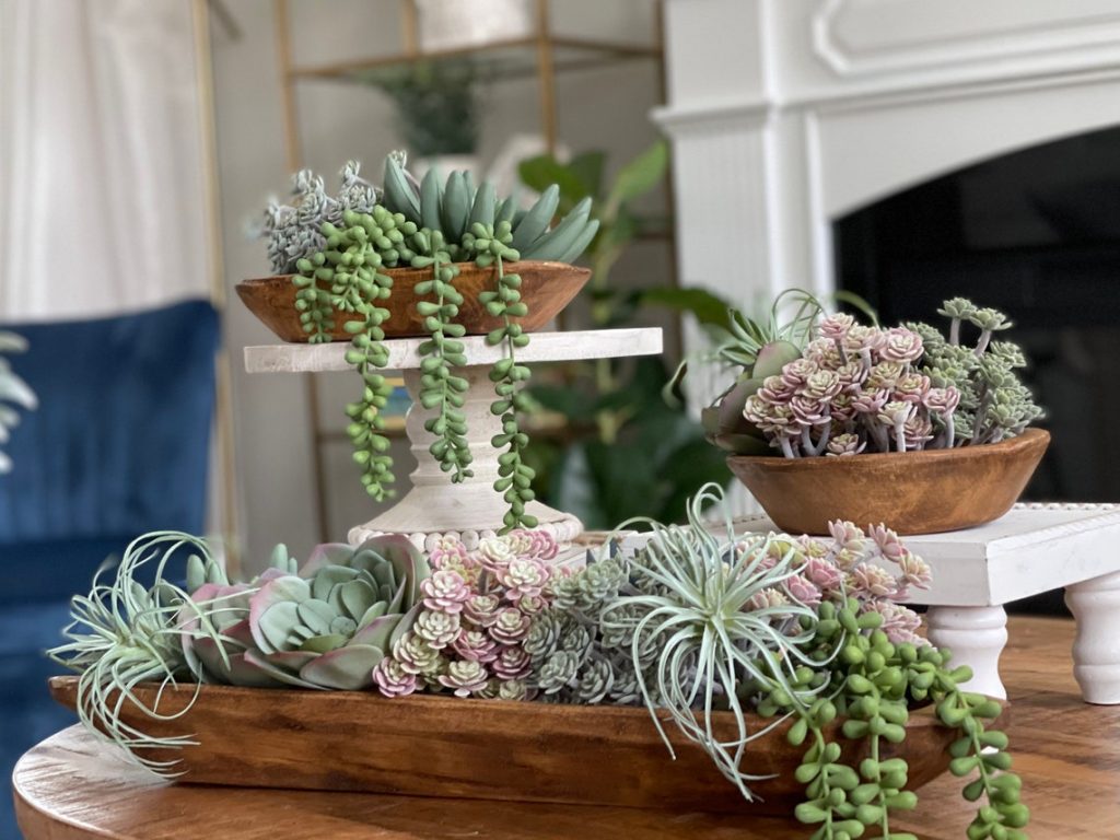 Succulent dough bowl