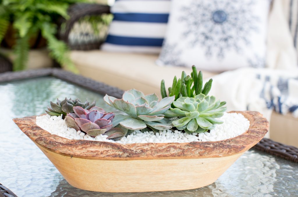 Faux Succulent Dough Bowl