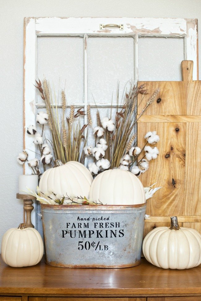 Pumpkins in farmhouse bucket with window frame background