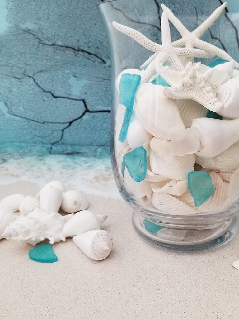 Seashells coastal vase filler ideas decor