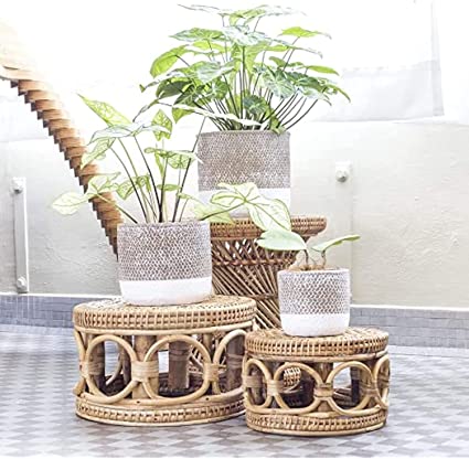 modern boho rattan  plant stands