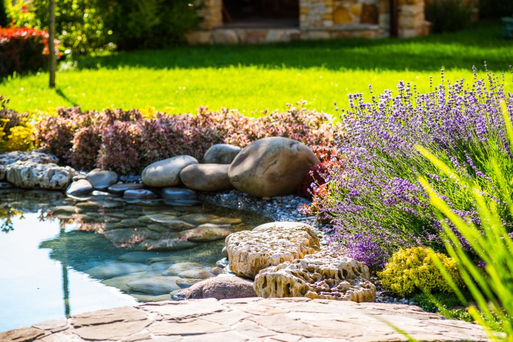 Easy Ways to Spruce Up Your Backyard