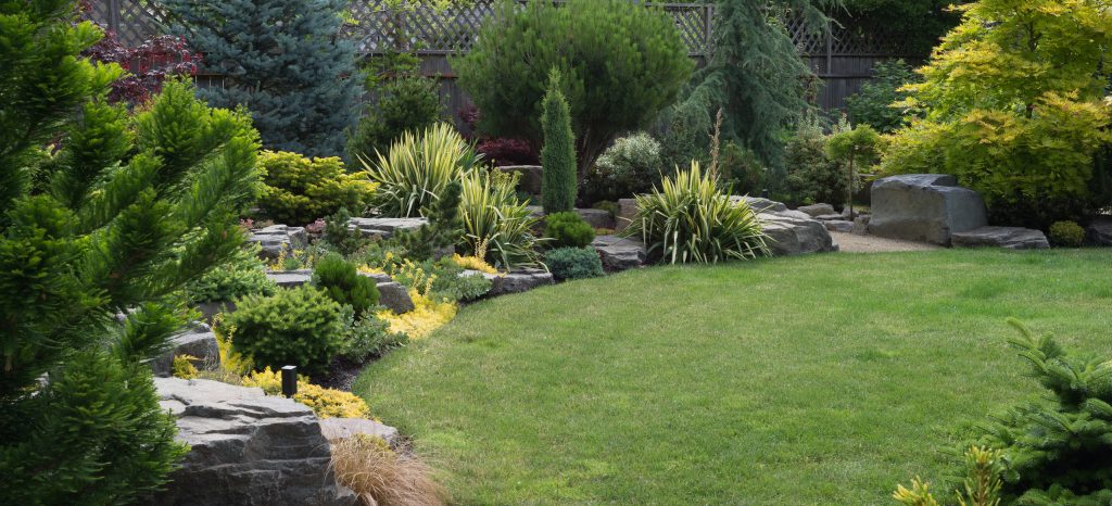 landscape your yard