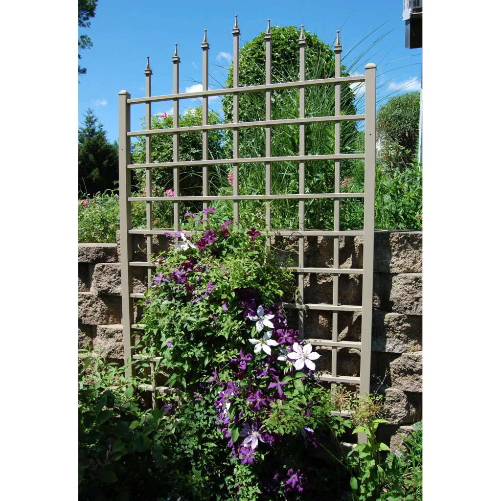 add a trellis to your backyard