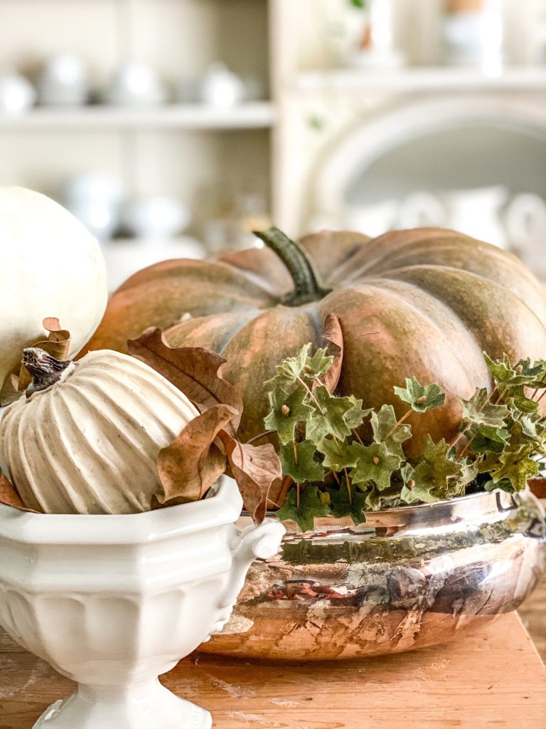 Deorative bowls of pumpkins on kitchen table