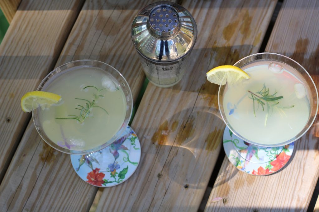 limoncello martinis