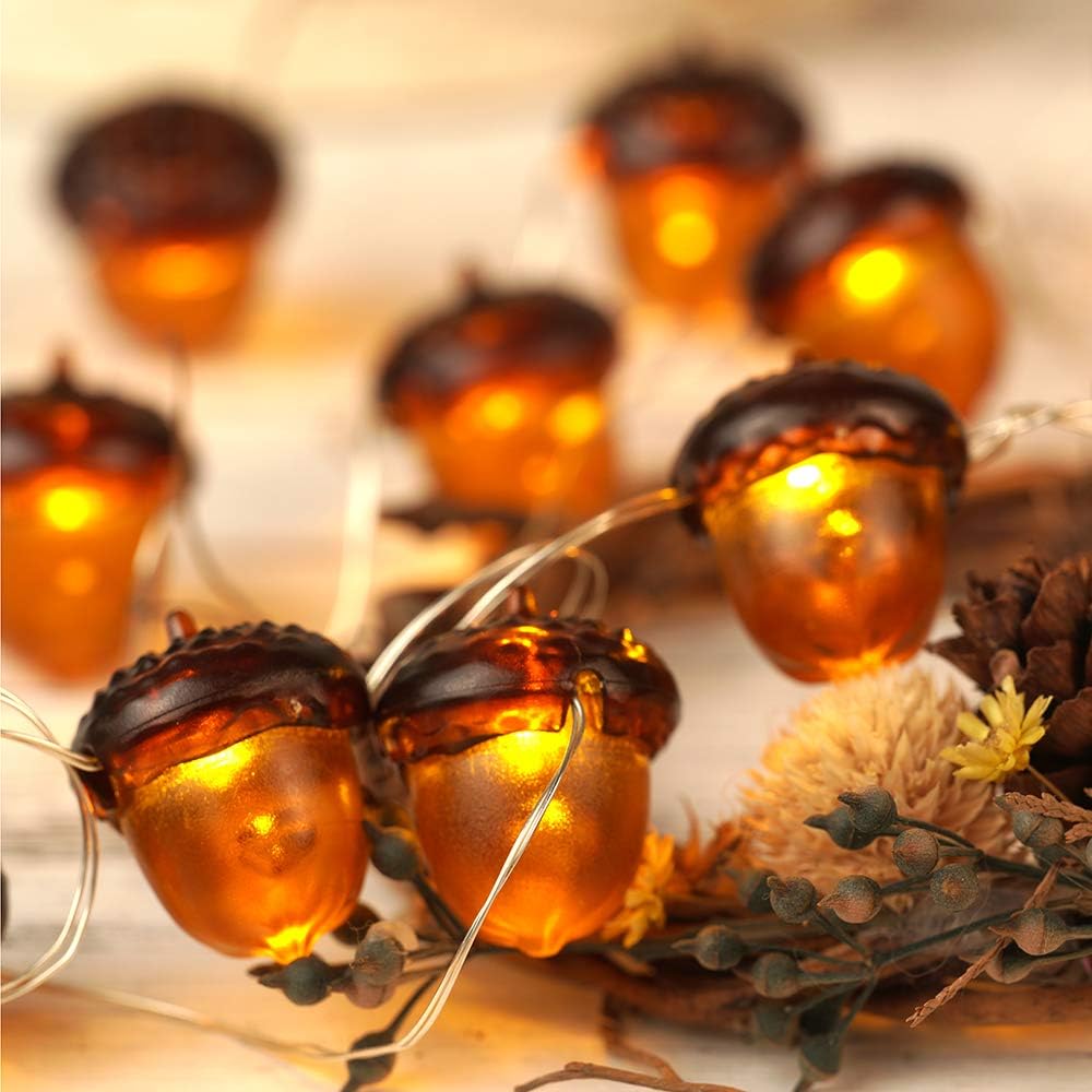 acorn fairy lights