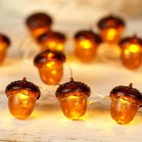 acorn lights